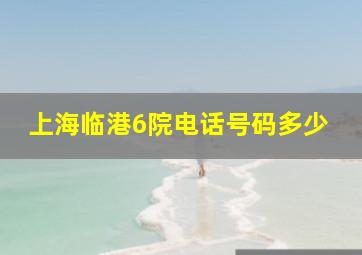 上海临港6院电话号码多少