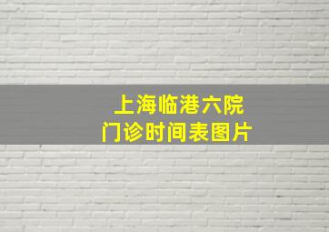 上海临港六院门诊时间表图片