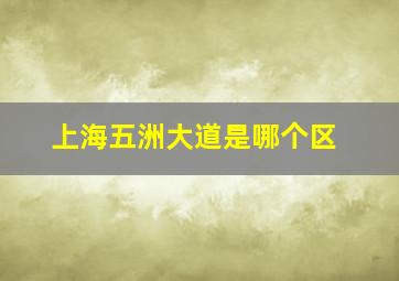 上海五洲大道是哪个区