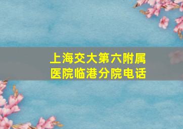 上海交大第六附属医院临港分院电话