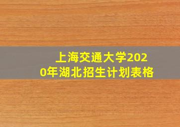 上海交通大学2020年湖北招生计划表格