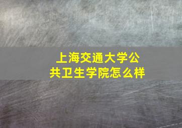 上海交通大学公共卫生学院怎么样