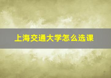 上海交通大学怎么选课