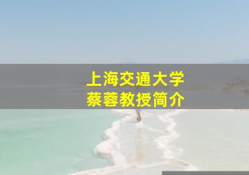 上海交通大学蔡蓉教授简介