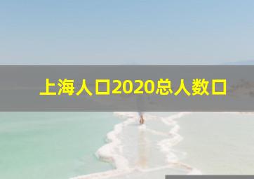 上海人口2020总人数口