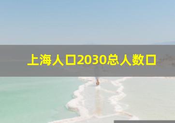 上海人口2030总人数口