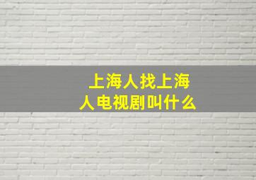 上海人找上海人电视剧叫什么