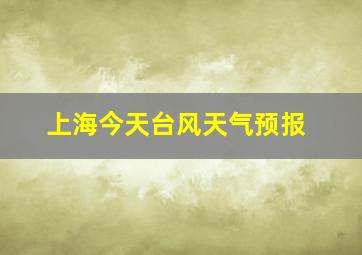 上海今天台风天气预报