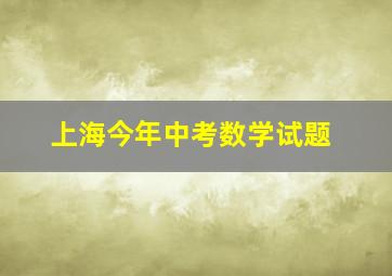 上海今年中考数学试题