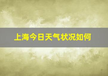 上海今日天气状况如何