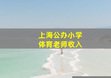 上海公办小学体育老师收入