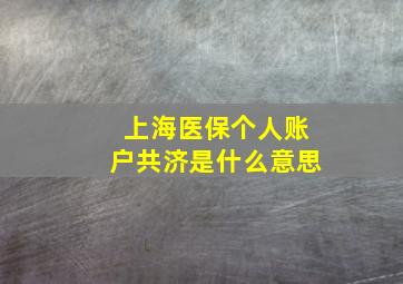 上海医保个人账户共济是什么意思