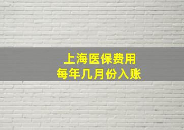 上海医保费用每年几月份入账