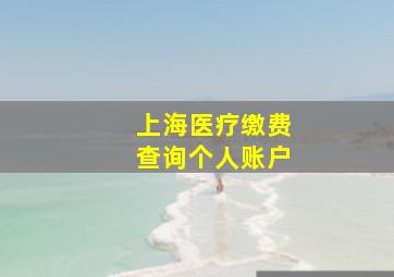 上海医疗缴费查询个人账户