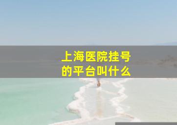 上海医院挂号的平台叫什么