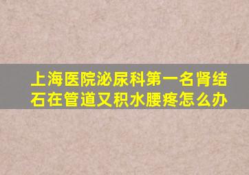 上海医院泌尿科第一名肾结石在管道又积水腰疼怎么办