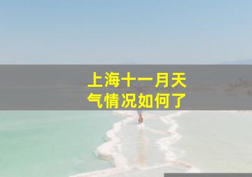 上海十一月天气情况如何了