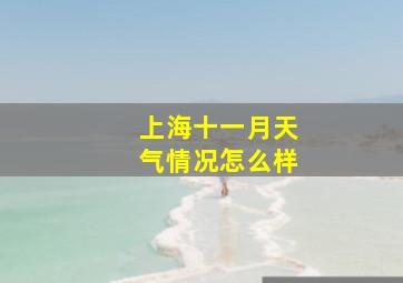 上海十一月天气情况怎么样