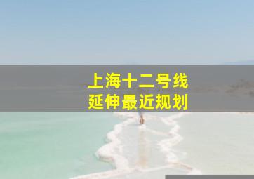 上海十二号线延伸最近规划