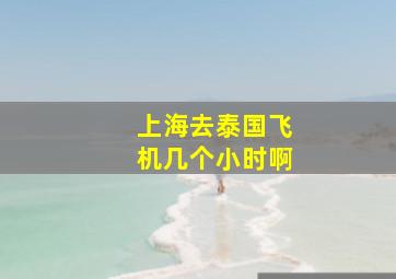 上海去泰国飞机几个小时啊