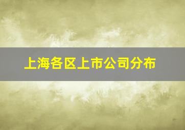 上海各区上市公司分布