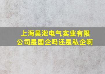 上海吴淞电气实业有限公司是国企吗还是私企啊