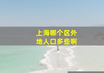 上海哪个区外地人口多些啊