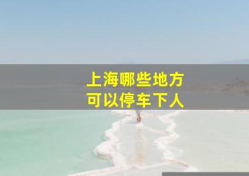 上海哪些地方可以停车下人