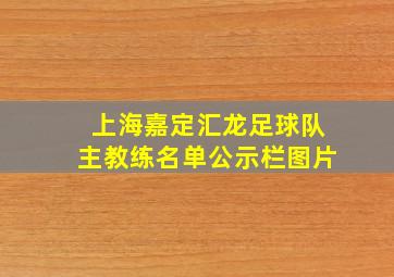 上海嘉定汇龙足球队主教练名单公示栏图片