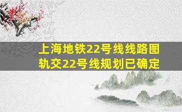 上海地铁22号线线路图轨交22号线规划已确定