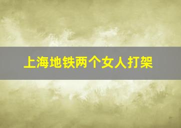 上海地铁两个女人打架