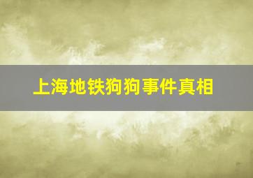 上海地铁狗狗事件真相