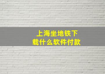 上海坐地铁下载什么软件付款