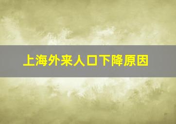 上海外来人口下降原因