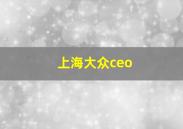 上海大众ceo