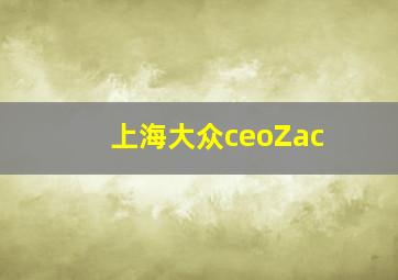 上海大众ceoZac