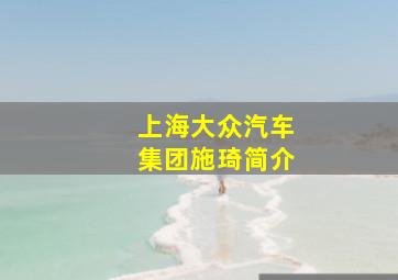 上海大众汽车集团施琦简介