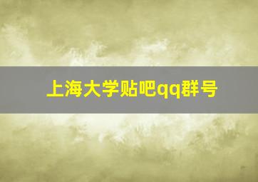 上海大学贴吧qq群号