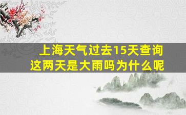 上海天气过去15天查询这两天是大雨吗为什么呢