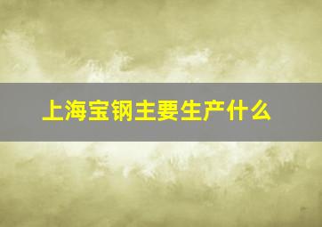 上海宝钢主要生产什么