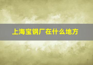 上海宝钢厂在什么地方