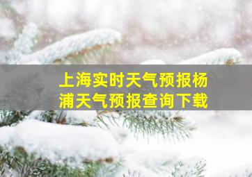 上海实时天气预报杨浦天气预报查询下载