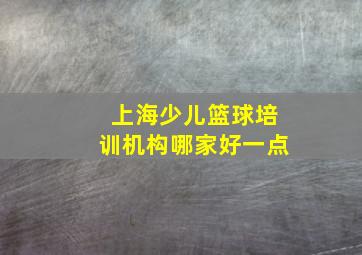 上海少儿篮球培训机构哪家好一点