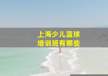 上海少儿篮球培训班有哪些