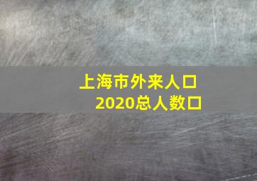 上海市外来人口2020总人数口