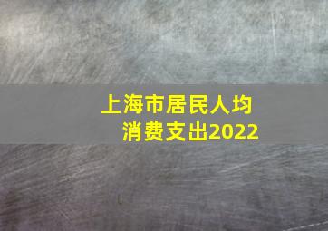 上海市居民人均消费支出2022