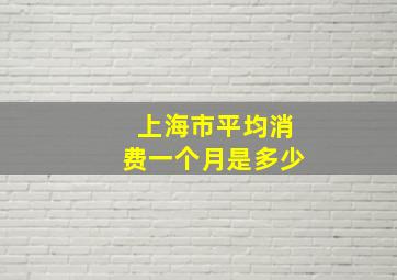 上海市平均消费一个月是多少