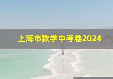 上海市数学中考卷2024