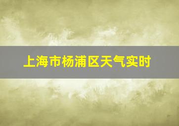 上海市杨浦区天气实时