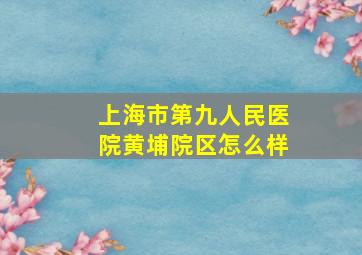 上海市第九人民医院黄埔院区怎么样